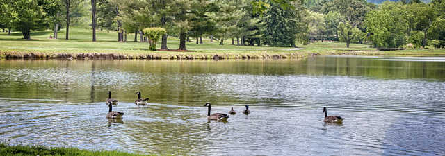 Etowah Valley Country Club & Golf Lodge