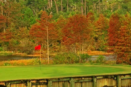 Marsh/Pines at Country Club of Landfall in Wilmington Marsh/Pines at Country Club of Landfall in Wilmington