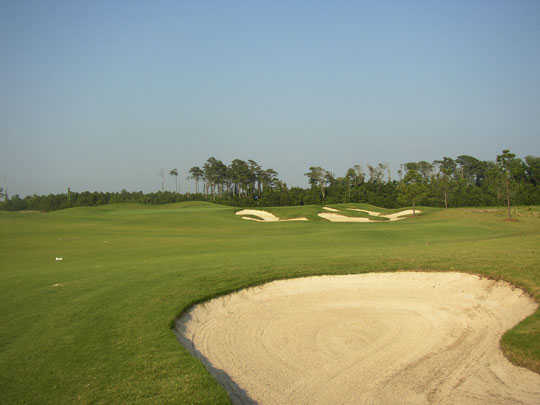 The Beaufort Club In Beaufort