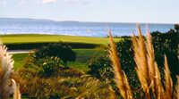 Nags Head G.L