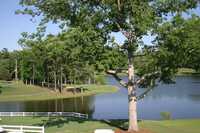 Asheboro CC