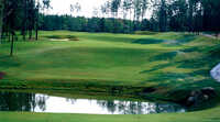 Neuse GC