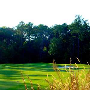 Carolina Colours GC: #6