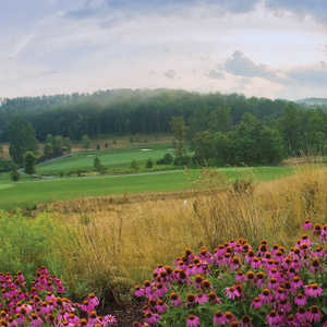 The Cliffs At Walnut Cove