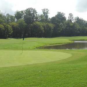 Fox Den CC: #17