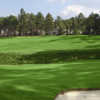 A sunny day view of a hole from Holly at Pinewild Country Club.