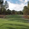 A view from a tee at Country Club of Whispering Pines.