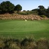 A view of green #9 at Sea Scape Golf Links