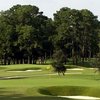 A view of greens protected by sand traps at Cape Fear Country Club