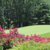 A view of a green at Biltmore Forest Country Club