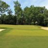 A view of green #4 at Myers Park Country Club