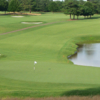 A view of a green with water coming into play at Carolina Golf Club.