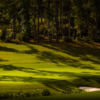 A view of green #18 at Palisades Country Club