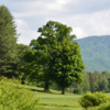 A view of a green at Black Mountain Golf Course
