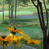 A view of a green at Blowing Rock Country Club