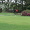A spring day view of a green at Farmville Country Club