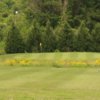 A view of fairway and green #4 at Mount Airy Country Club