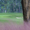 A view of a hole at UNC Finley Golf Course