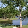A view from Asheboro Country Club