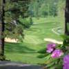 A view of green #15 at Chestnut Mountain Golf Club.