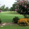 A view of the 18th green from the picnic area behind the clubhouse at McCanless Golf Club
