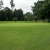 A view of green #8 at McCanless Golf Club
