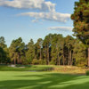 A view of green #6 at No. 2 from Pinehurst Resort & Country Club.