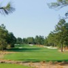 A view of a tee at No. 6 from Pinehurst Resort & Country Club.