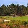 A view of the 14th hole at No. 8 from Pinehurst Resort & Country Club.