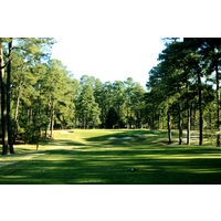 The tree-lined fifth hole at Pinehurst No. 1 plays 167 yards.