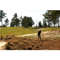 There is virtually no rough on Pinehurst No. 2 now, only waste area and wire grass. 